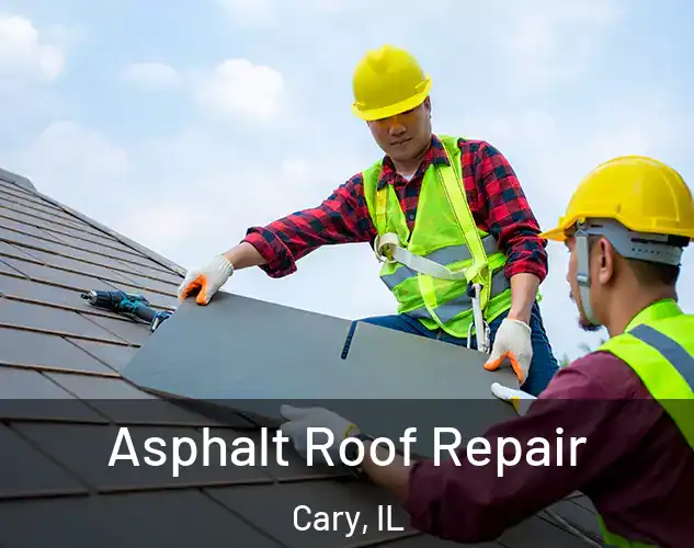  Asphalt Roof Repair Cary, IL