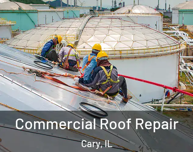  Commercial Roof Repair Cary, IL