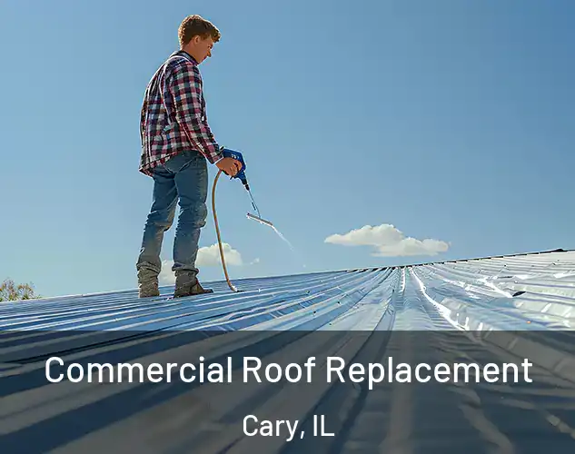  Commercial Roof Replacement Cary, IL