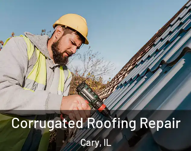  Corrugated Roofing Repair Cary, IL