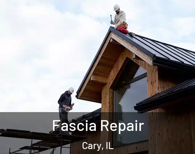  Fascia Repair Cary, IL