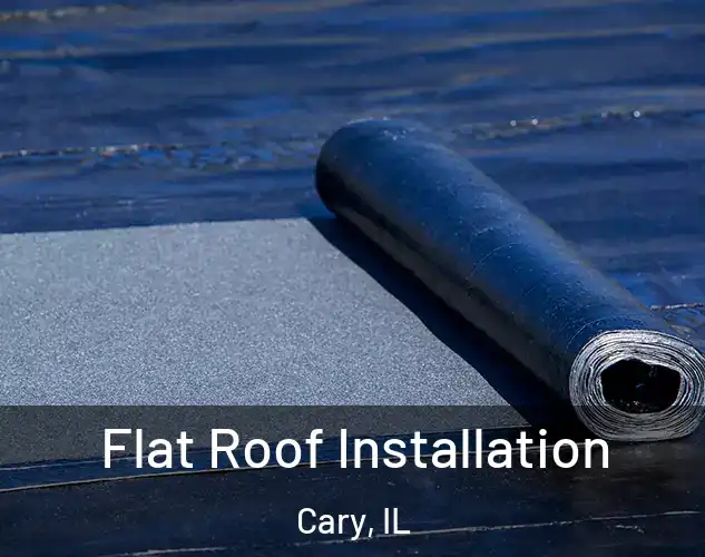  Flat Roof Installation Cary, IL