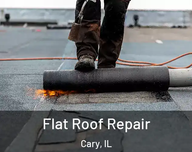  Flat Roof Repair Cary, IL