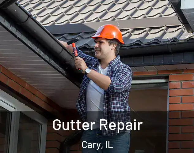  Gutter Repair Cary, IL
