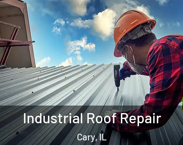  Industrial Roof Repair Cary, IL