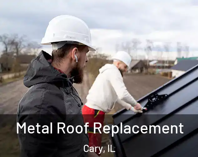  Metal Roof Replacement Cary, IL