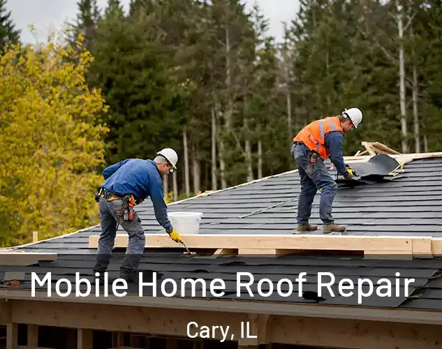 Mobile Home Roof Repair Cary, IL