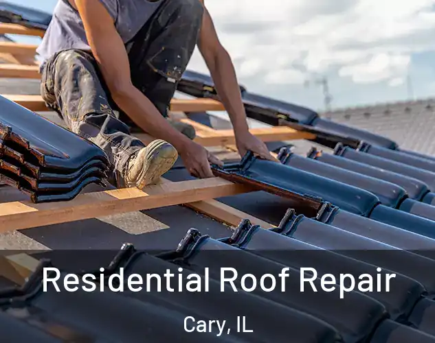  Residential Roof Repair Cary, IL