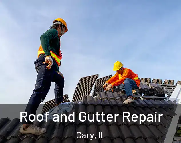  Roof and Gutter Repair Cary, IL