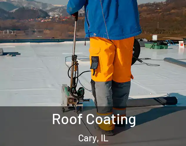  Roof Coating Cary, IL