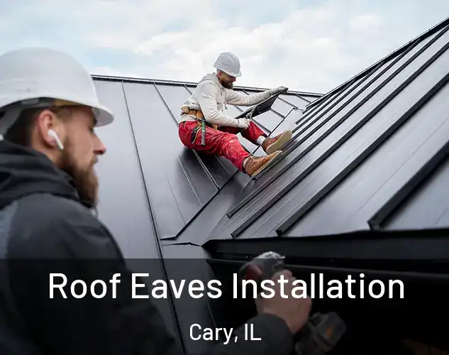  Roof Eaves Installation Cary, IL