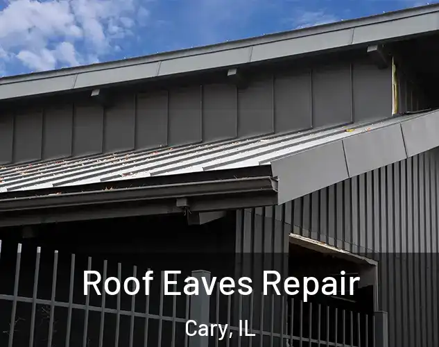  Roof Eaves Repair Cary, IL