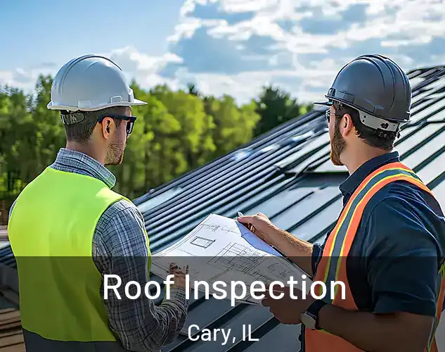  Roof Inspection Cary, IL