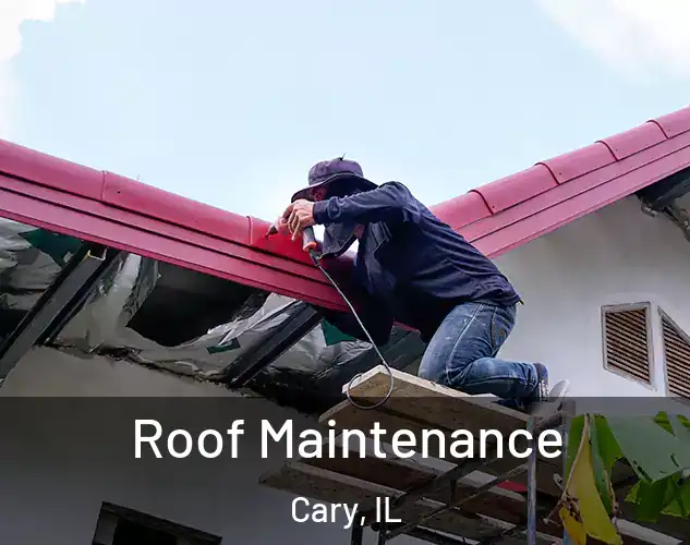  Roof Maintenance Cary, IL