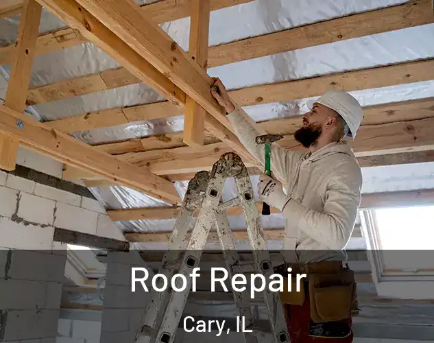  Roof Repair Cary, IL