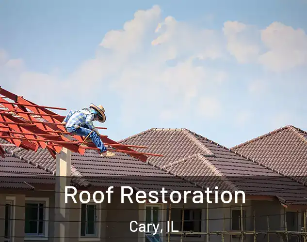  Roof Restoration Cary, IL