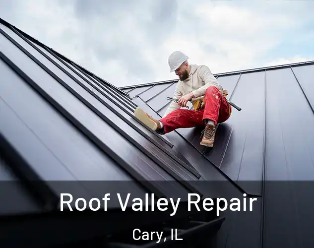  Roof Valley Repair Cary, IL