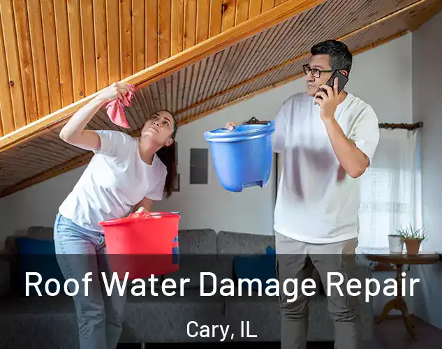  Roof Water Damage Repair Cary, IL