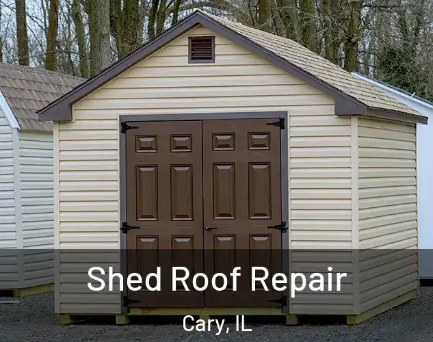  Shed Roof Repair Cary, IL