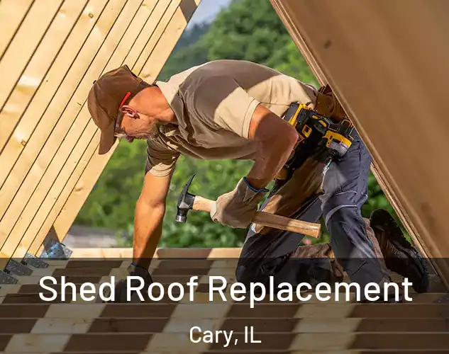  Shed Roof Replacement Cary, IL