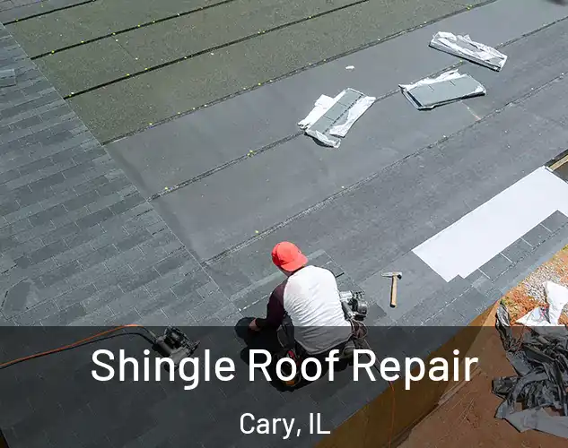  Shingle Roof Repair Cary, IL