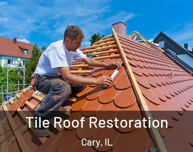  Tile Roof Restoration Cary, IL