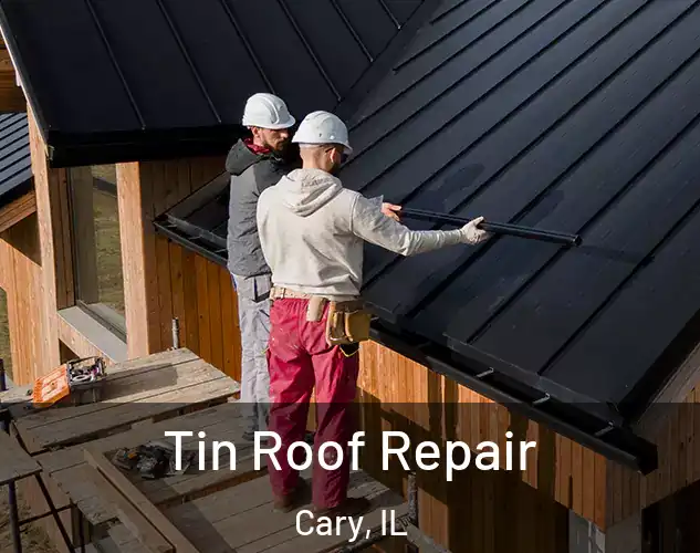  Tin Roof Repair Cary, IL