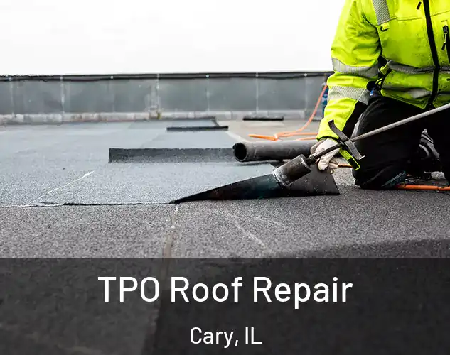  TPO Roof Repair Cary, IL